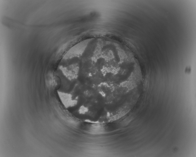 X0000113060335200909110921