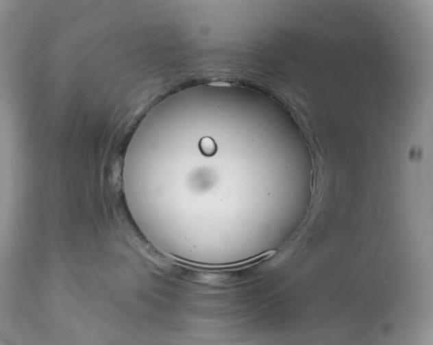X0000113060336200909110921