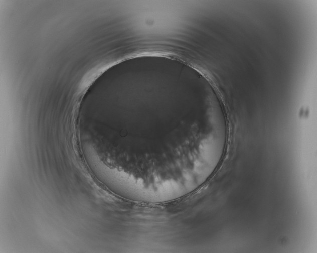 X0000113060337200909110920