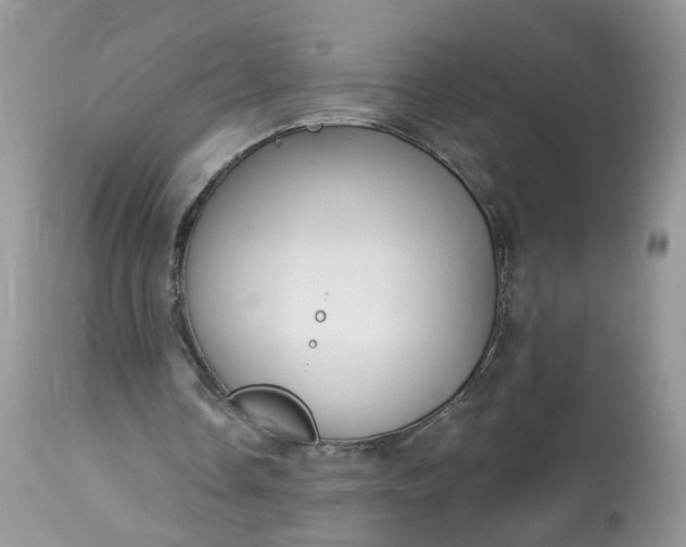 X0000113060338200909110920