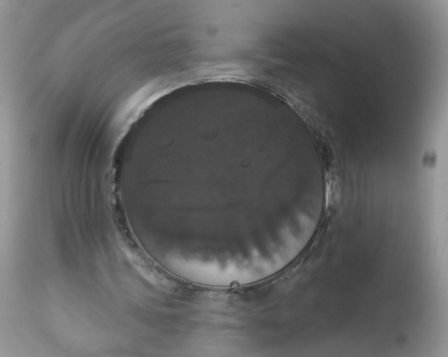 X0000113060339200909110920