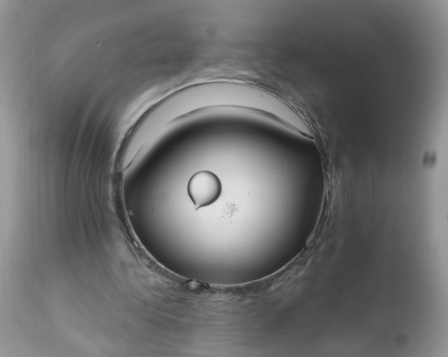 X0000113060340200909110920