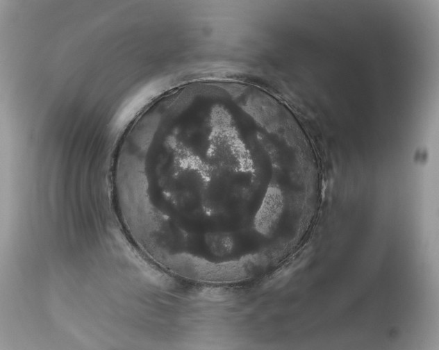 X0000113060341200909110920