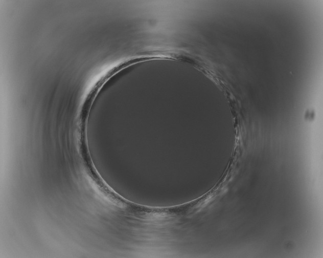 X0000113060342200909110920