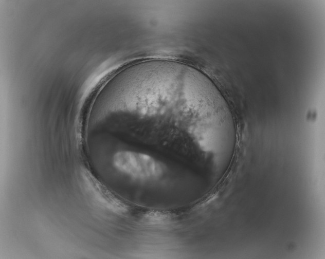 X0000113060343200909110920