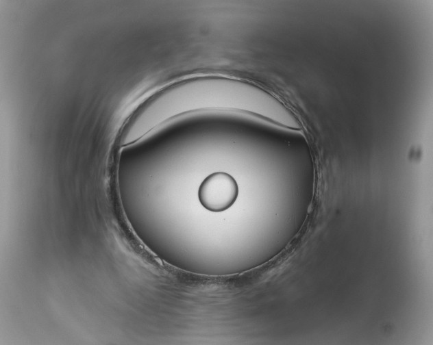X0000113060344200909110920