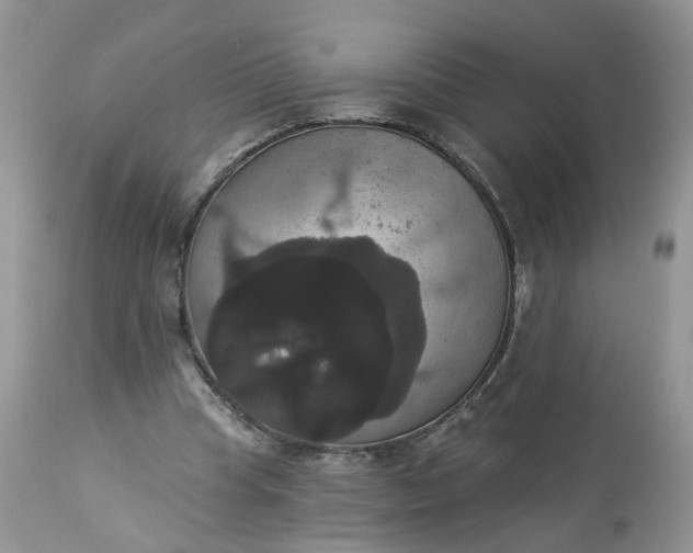 X0000113060345200909110920