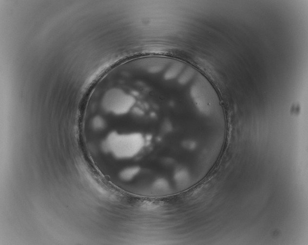 X0000113060346200909110920