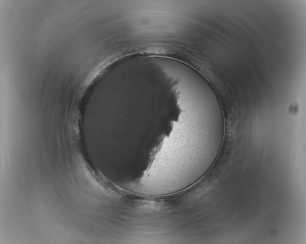 X0000113060347200909110921