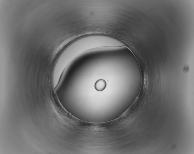 X0000113060348200909110921