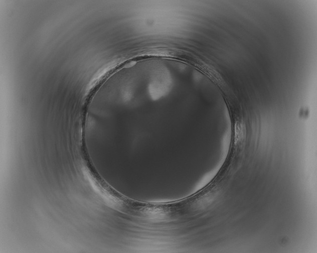 X0000113060349200909110921