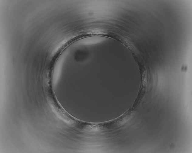 X0000113060351200909110921