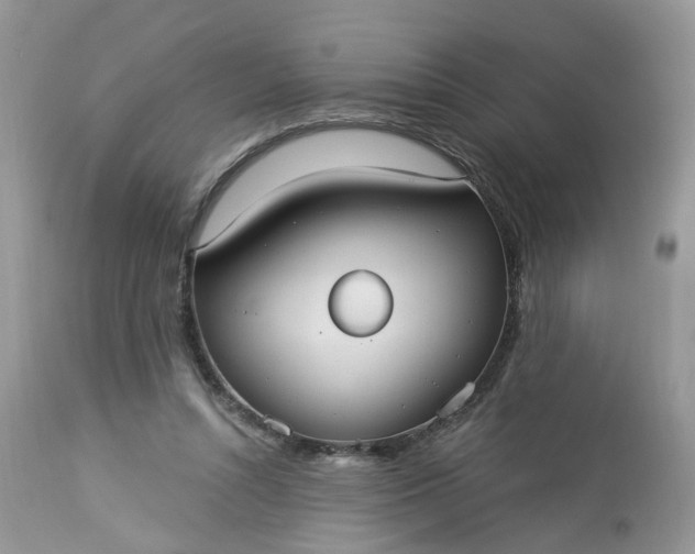 X0000113060352200909110921