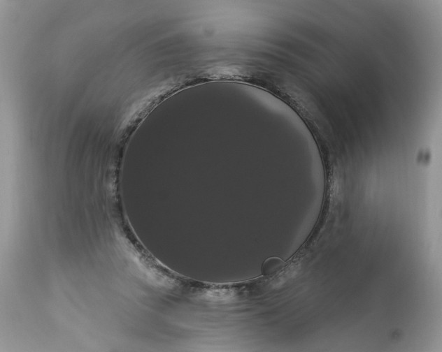 X0000113060353200909110921