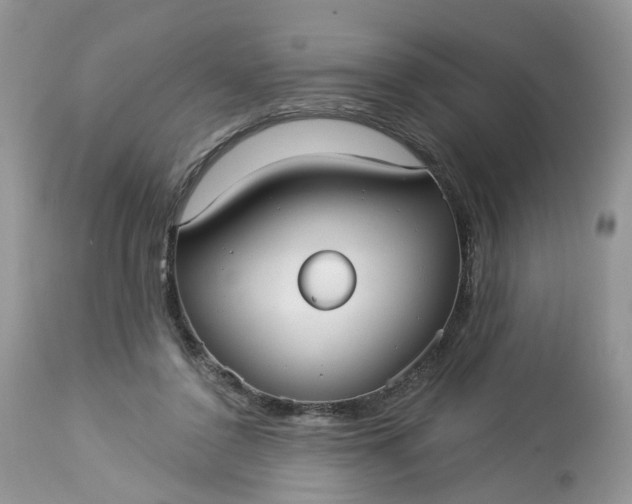 X0000113060356200909110921