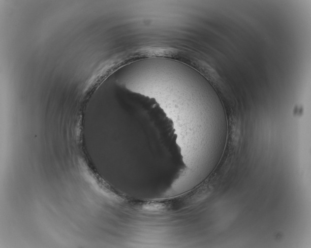 X0000113060357200909110921