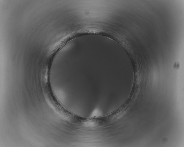 X0000113060358200909110921