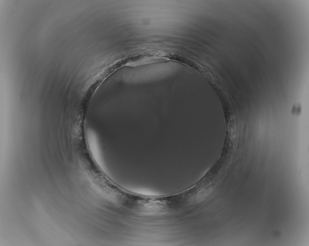 X0000113060359200909110921