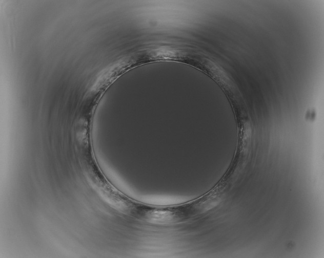 X0000113060361200909110921