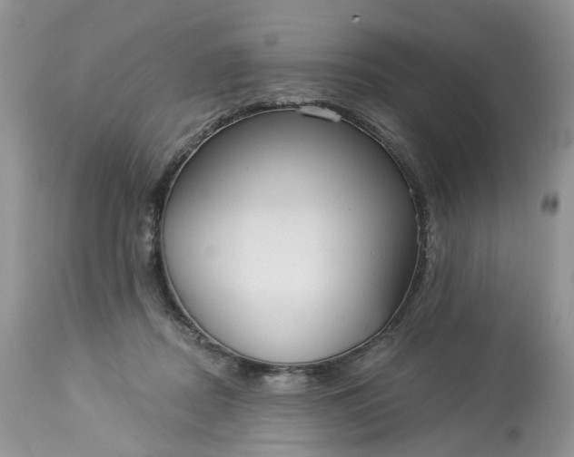 X0000113060362200909110921