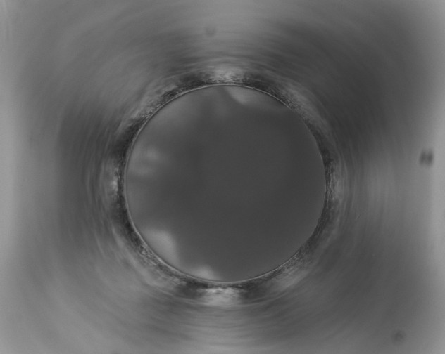 X0000113060363200909110921