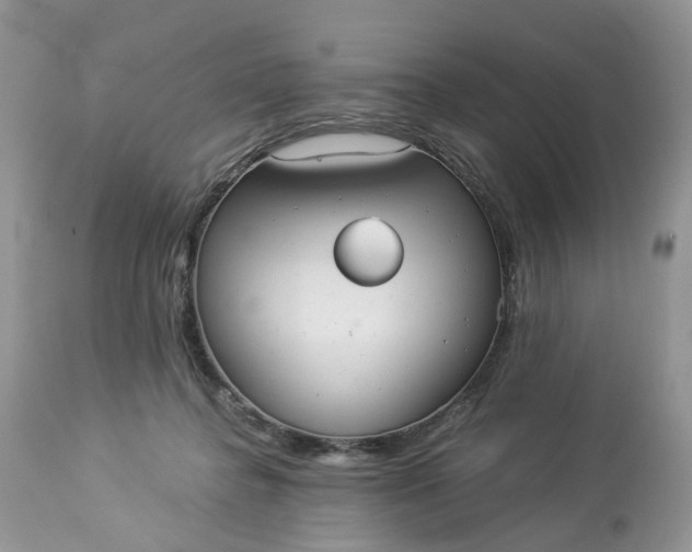 X0000113060364200909110921