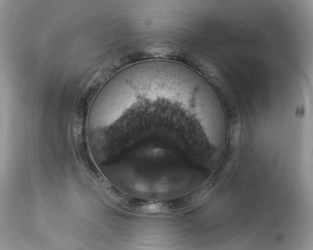 X0000113060365200909110921