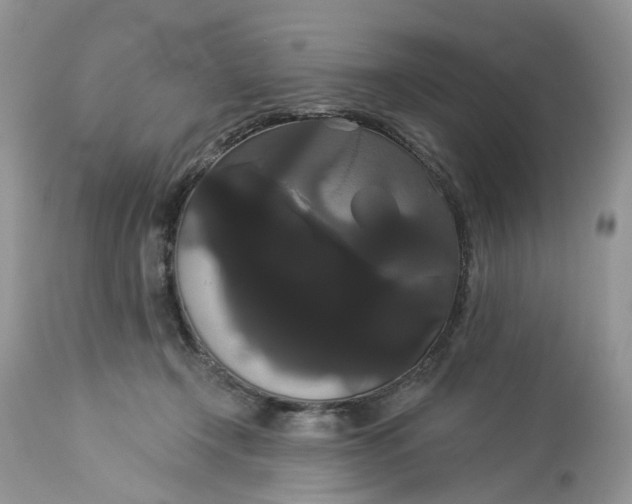 X0000113060366200909110921