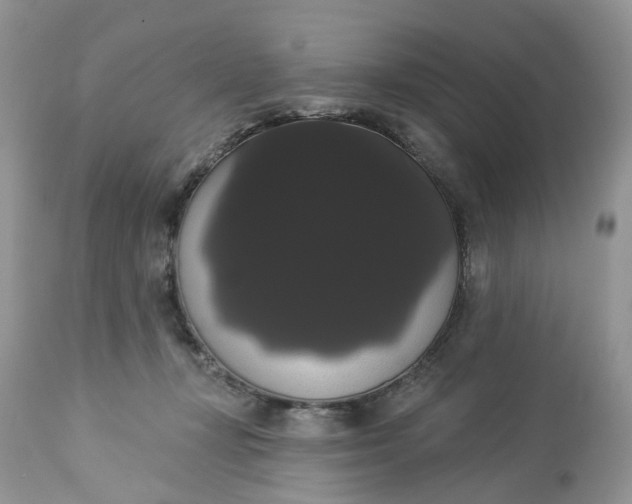 X0000113060367200909110921