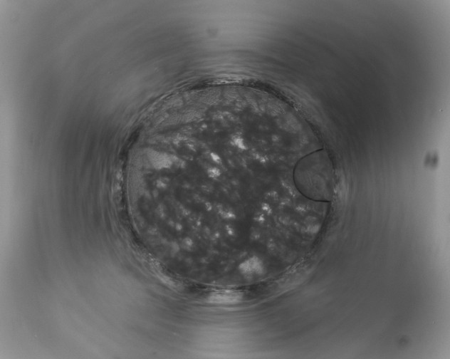 X0000113060369200909110921