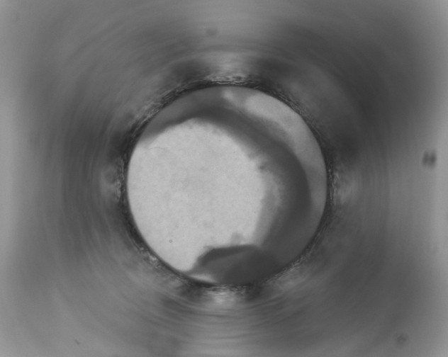 X0000113060370200909110921
