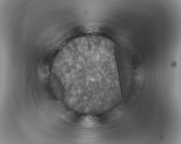 X0000113060372200909110921