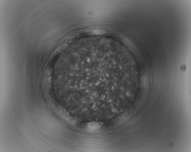 X0000113060373200909110921
