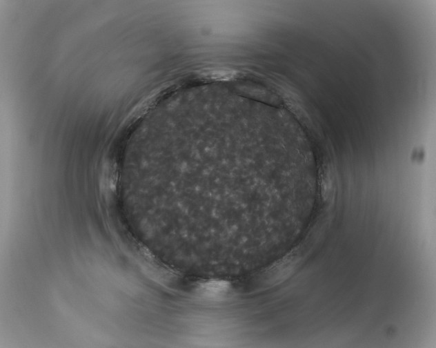 X0000113060374200909110921