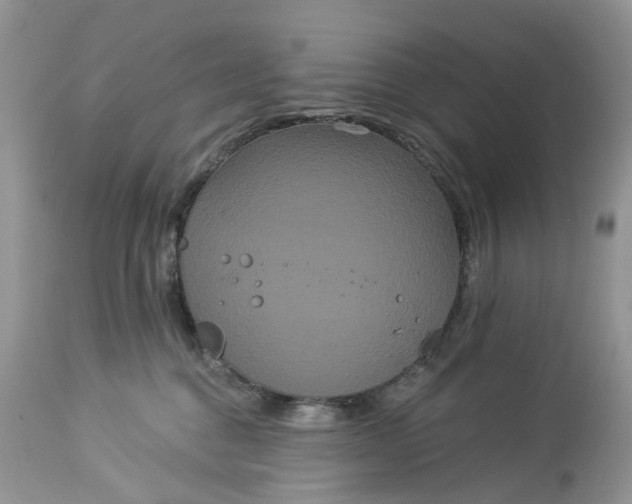 X0000113060376200909110921
