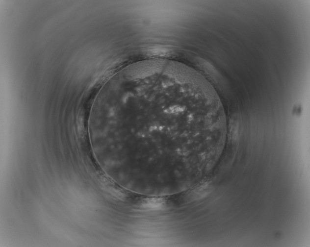 X0000113060377200909110921