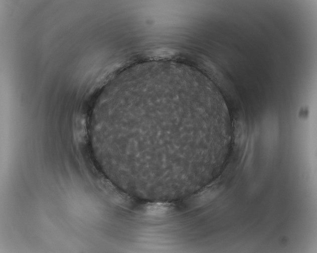 X0000113060378200909110921
