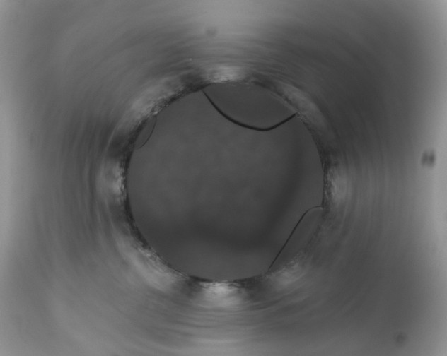 X0000113060380200909110921