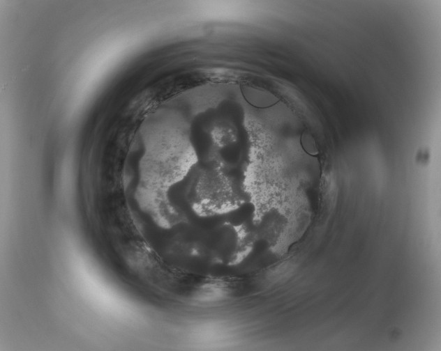 X0000113060381200909110921