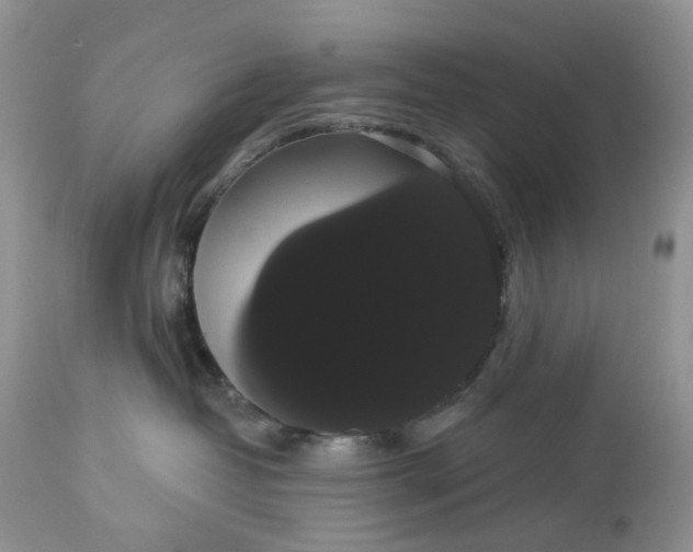 X0000113060382200909110921