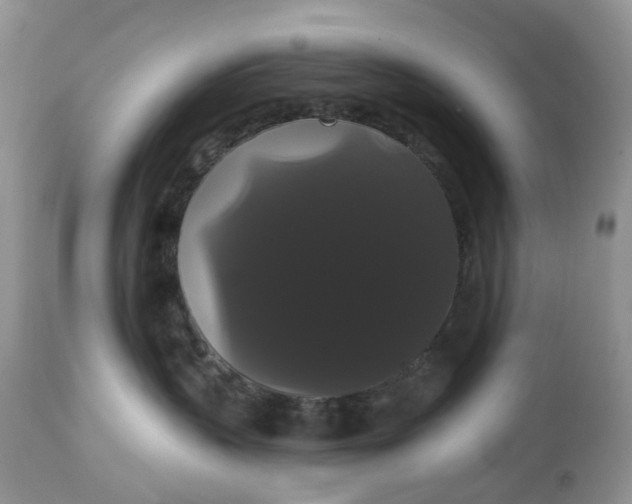 X0000113060383200909110921