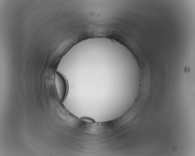 X0000113060384200909110921