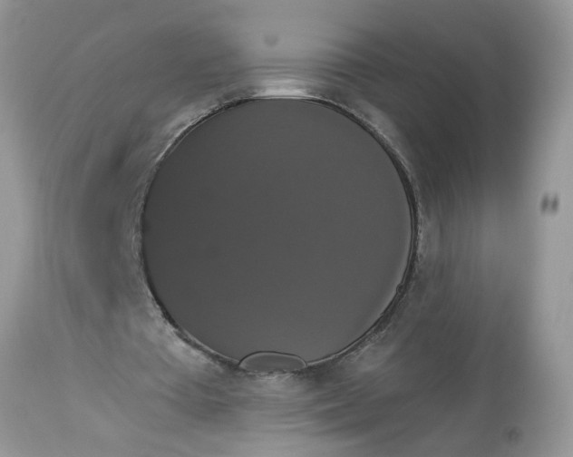 X0000113060385200909110920