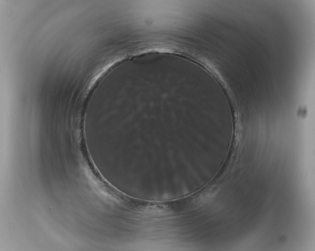 X0000113060386200909110920