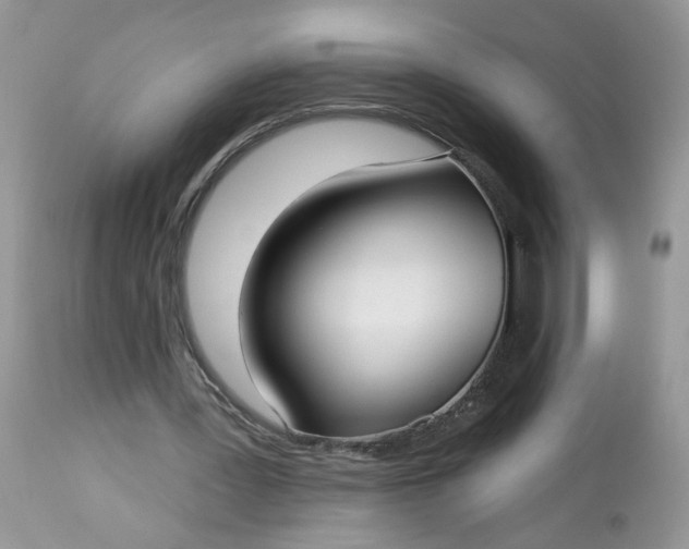 X0000113060387200909110920