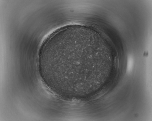 X0000113060388200909110920