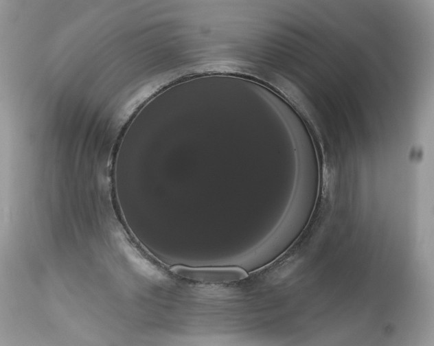 X0000113060389200909110920