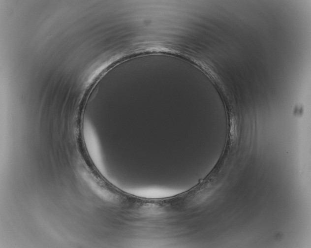 X0000113060390200909110920