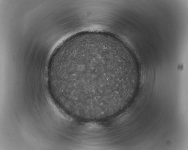 X0000113060392200909110920