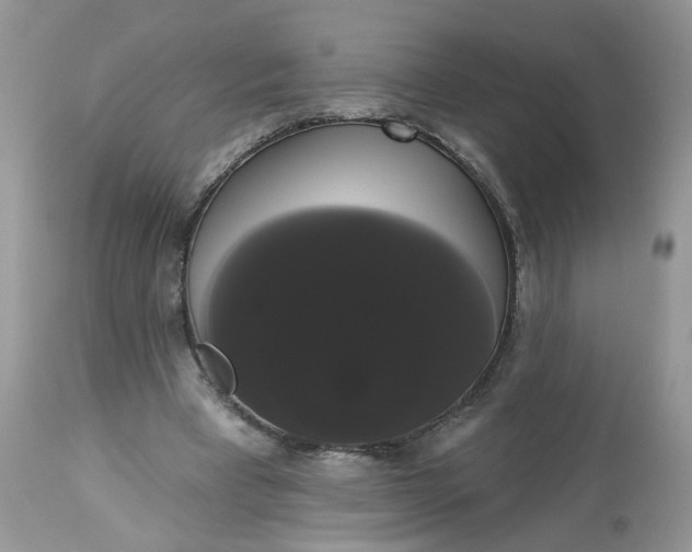 X0000113060393200909110920